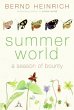 Summer World (eBook, ePUB) - Bild 1