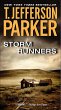 Storm Runners (eBook, ePUB) - Bild 1