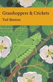 Grasshoppers and Crickets (eBook, ePUB) Grasshoppers and Crickets (eBook, ePUB)