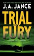 Trial By Fury (eBook, ePUB) - Bild 1