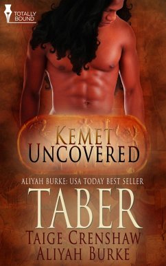 Cover Taber (eBook, ePUB)