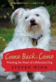 Come Back, Como (eBook, ePUB)