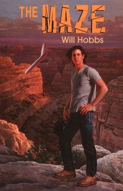 The Maze (eBook, ePUB) - Hobbs, Will