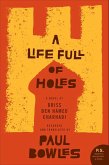 A Life Full of Holes (eBook, ePUB)