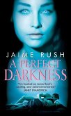 A Perfect Darkness (eBook, ePUB)