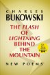 The Flash of Lightning Behind the... - Bild 1