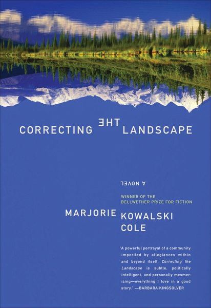 Correcting the Landscape (eBook, ePUB) Correcting the Landscape (eBook, ePUB)
