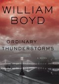 Ordinary Thunderstorms (eBook, ePUB)
