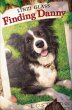 Finding Danny (eBook, ePUB) - Bild 1
