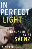 In Perfect Light (eBook, ePUB)