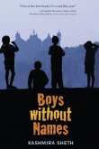 Boys Without Names (eBook, ePUB)