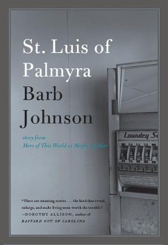 St. Luis of Palmyra (eBook, ePUB) - Johnson, Barb