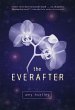 The Everafter (eBook, ePUB) - Bild 1