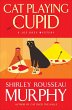 Cat Playing Cupid (eBook, ePUB) - Bild 1