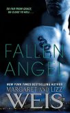 Fallen Angel (eBook, ePUB)
