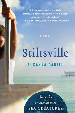 Stiltsville (eBook, ePUB) - Daniel, Susanna