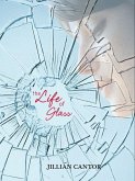The Life of Glass (eBook, ePUB)