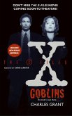The X-Files (eBook, ePUB)