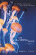 The Standing Wave (eBook, ePUB) - Bild 1