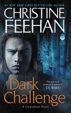 Dark Challenge (eBook, ePUB)