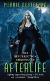 Afterlife (eBook, ePUB) Afterlife (eBook, ePUB)
