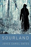 Sourland (eBook, ePUB)