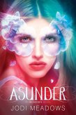Asunder (eBook, ePUB)