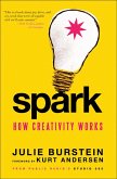 Spark (eBook, ePUB)