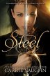 Steel (eBook, ePUB) - Bild 1