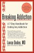 Breaking Addiction (eBook, ePUB) - Bild 1