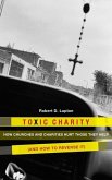 Toxic Charity (eBook, ePUB)