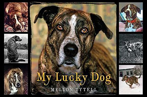 My Lucky Dog (eBook, ePUB) My Lucky Dog (eBook, ePUB)
