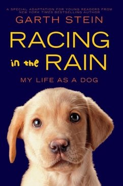 Racing in the Rain (eBook, ePUB) - Stein, Garth