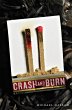 Crash and Burn (eBook, ePUB) - Bild 1