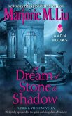 A Dream of Stone & Shadow (eBook, ePUB)