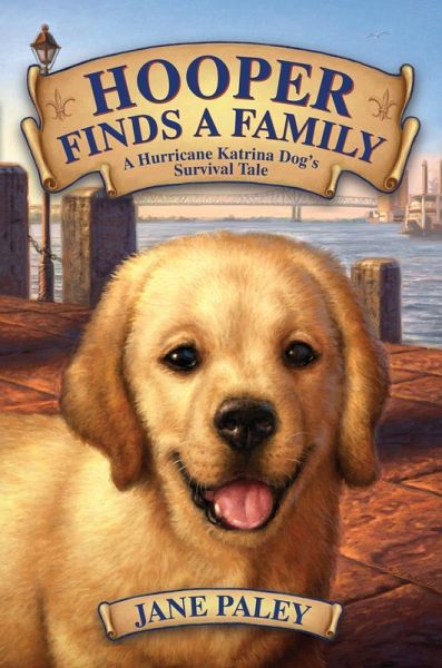 Hooper Finds a Family (eBook, ePUB) Hooper Finds a Family (eBook, ePUB)