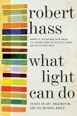 What Light Can Do (eBook, ePUB)