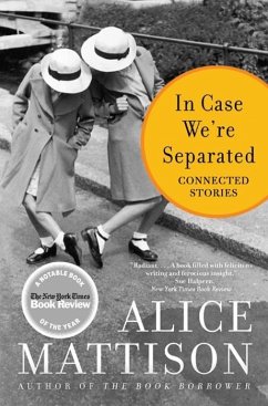 In Case We're Separated (eBook, ePUB) - Mattison, Alice