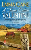 A Town Called Valentine (eBook, ePUB)