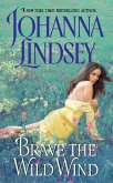 Brave the Wild Wind (eBook, ePUB)