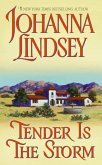 Tender Is the Storm (eBook, ePUB)