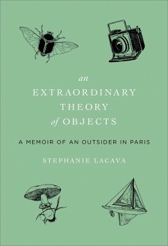 Cover An Extraordinary Theory of Objects (eBook, ePUB)