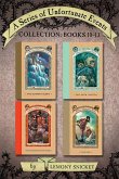A Series of Unfortunate Events Collection: Books 10-13 (eBook, ePUB)