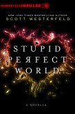 Stupid Perfect World (eBook, ePUB)