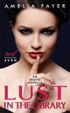 Lust in the Library (eBook, ePUB)