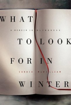 What to Look for in Winter (eBook, ePUB) - McWilliam, Candia