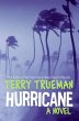 Hurricane (eBook, ePUB) - Bild 1