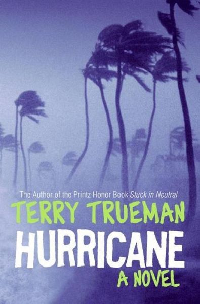 Hurricane (eBook, ePUB)