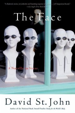 The Face (eBook, ePUB) - St. John, David