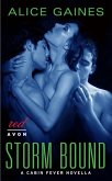 Storm Bound (eBook, ePUB) Storm Bound (eBook, ePUB)